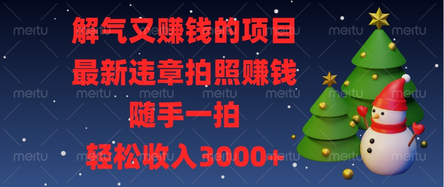 解气又赚钱的项目，最新违章拍照赚钱，随手一拍，轻松收入3000+-悠闲副业网