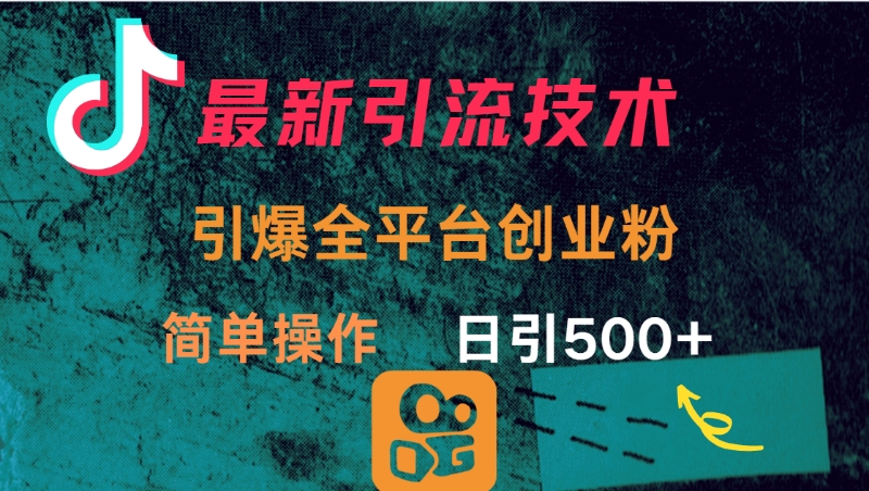最新引流方法，引爆全平台创业粉操作简单，日引300＋-悠闲副业网