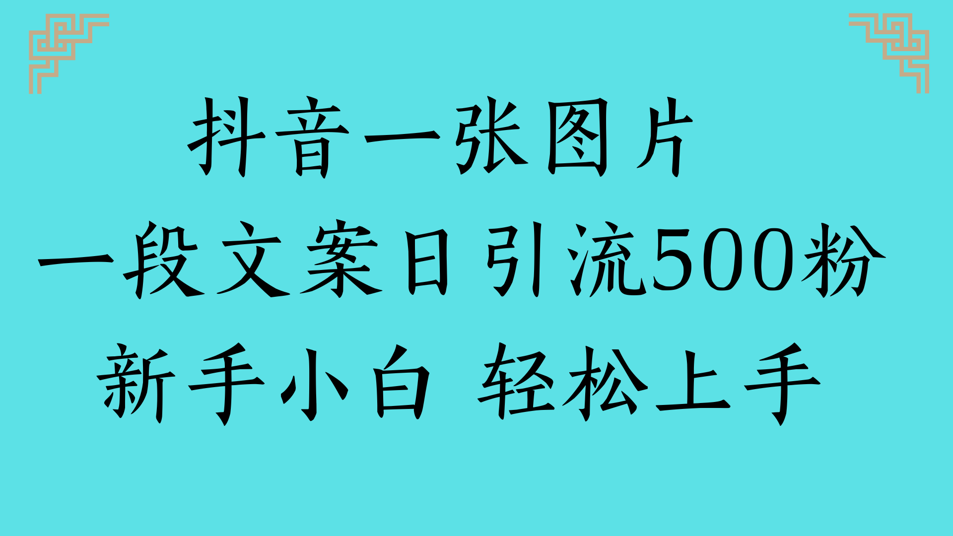 抖音一张图片 一段文案日引流500粉新手小白 轻松上手-悠闲副业网