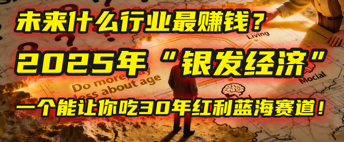 未来什么行业最赚钱？马哥揭秘2025年“银发经济”：一个能让你吃30年红利的蓝海赛道！-悠闲副业网