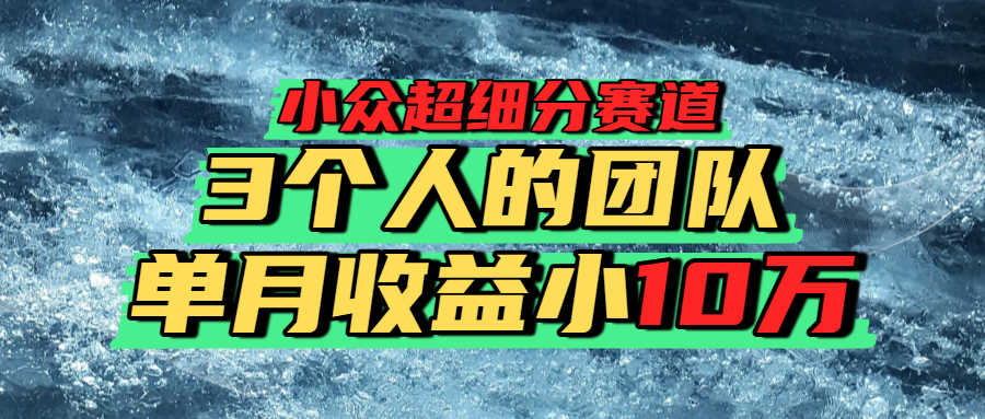 小众超细分赛道，一年百万利润的盘子！-悠闲副业网