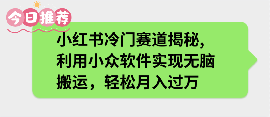 小红书冷门赛道揭秘,利用小众软件实现无脑搬运，轻松月入过万-悠闲副业网