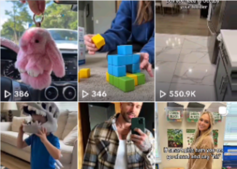 万字实操指南:Seedance联手TikTok带货,月入六位数可复制的全攻略-悠闲副业网